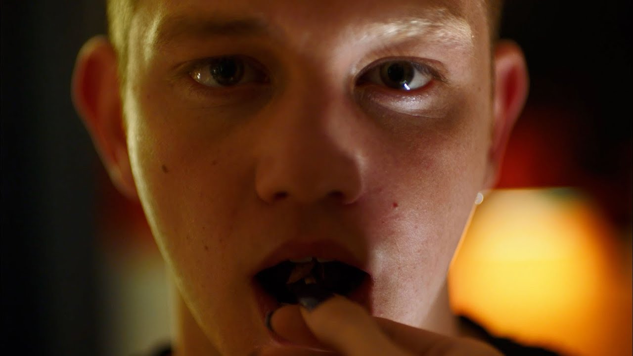 Teddy - Official Trailer [HD] | A Shudder Original